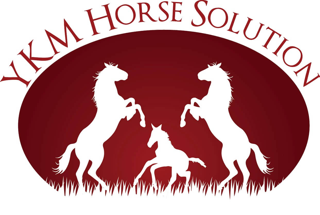 YKM Horse Solution