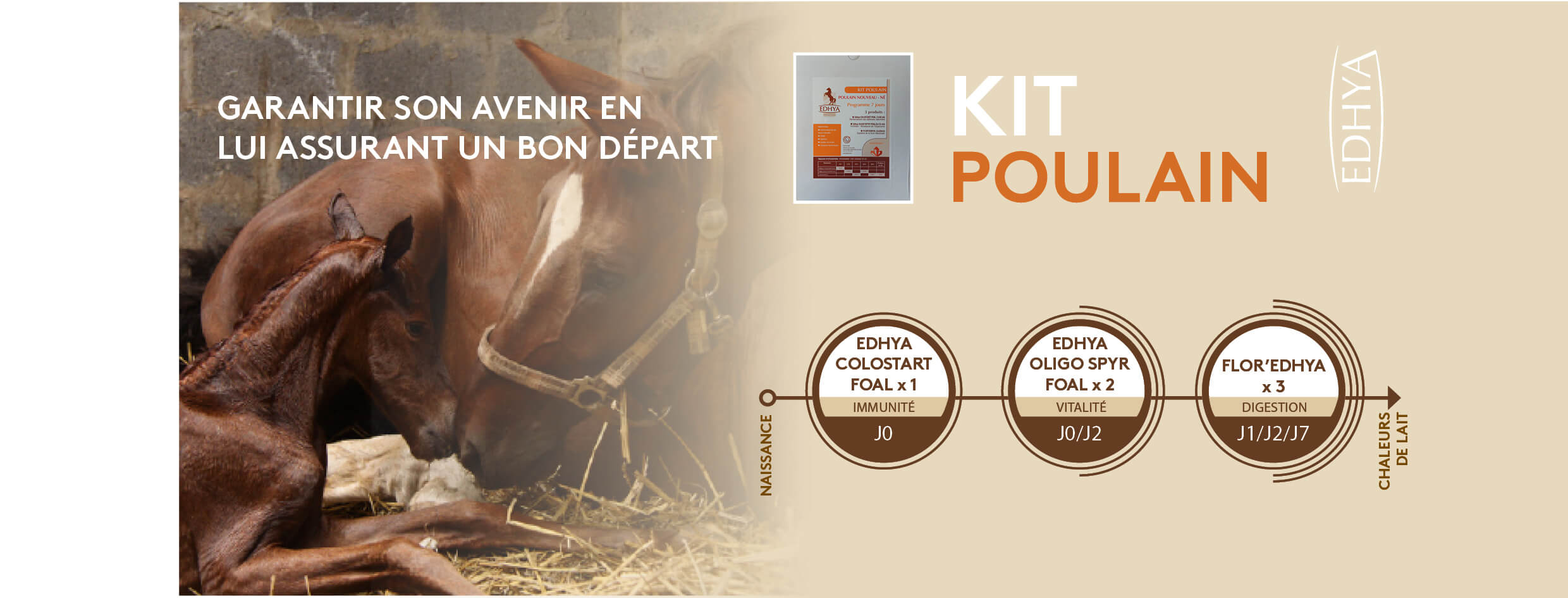 Kit Poulain
