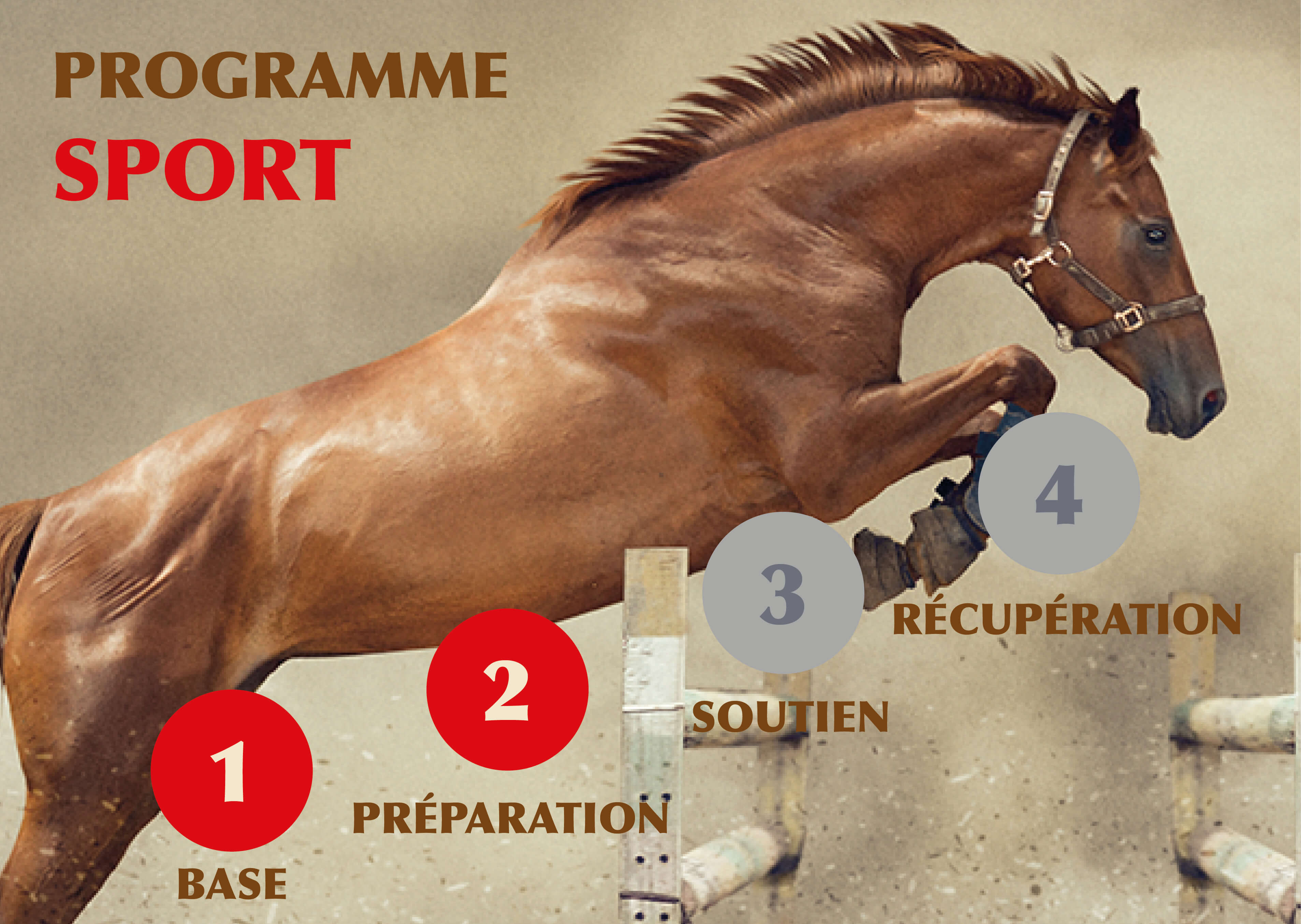 Phases 1 et 2 du programme nutritionnel EDHYA pour chevaux de sport