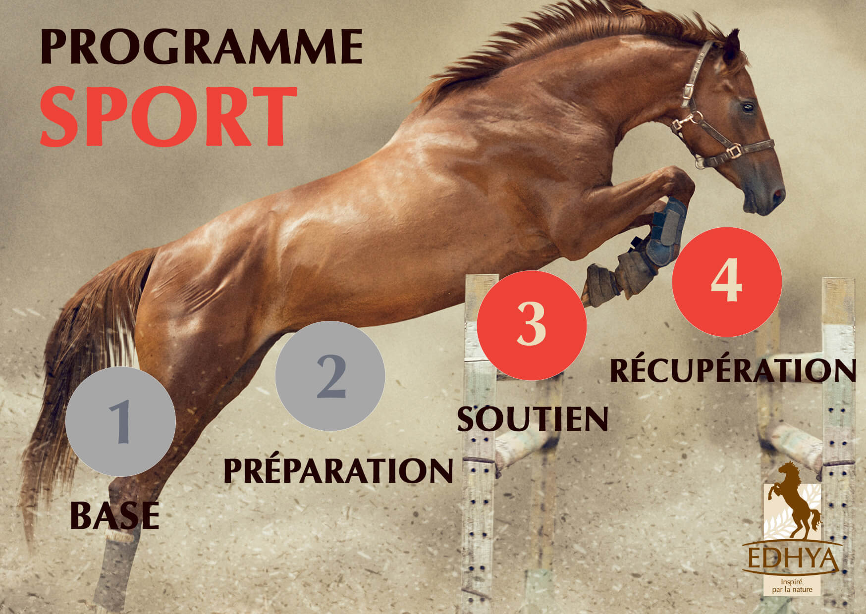 Programme Edhya SPORT : Phases 3 et 4 pour soutenir les chevaux de sport au plus fort de la saison
