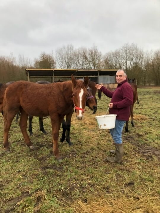 Yvon Calvary, témoignage sur le kit poulain