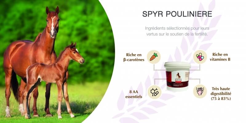 SPYR POULINIERE