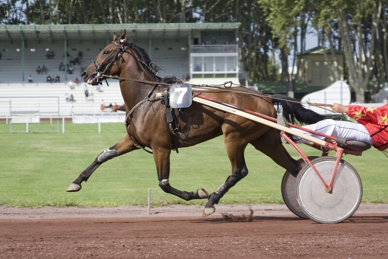 EDHYA présent à Vincennes lors de l'Expo Etalon