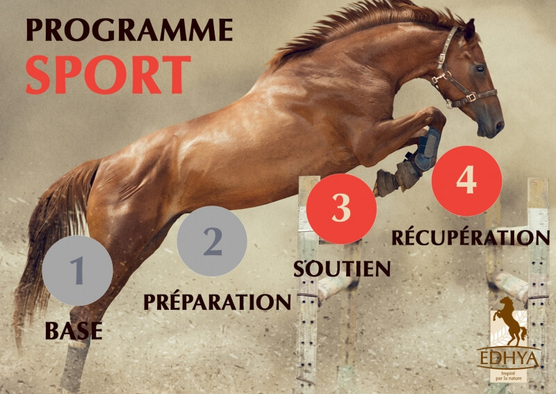 Programme Edhya SPORT : Phases 3 et 4 pour soutenir les chevaux de sport au plus fort de la saison