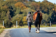 Elimination & Récupération