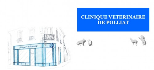CLINIQUE VETERINAIRE DE POLLIAT